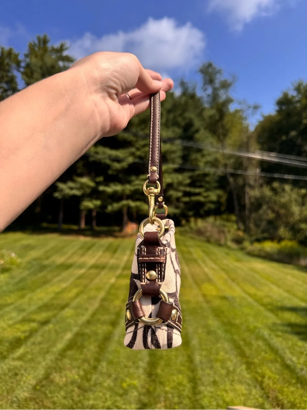 Coach micro vintage